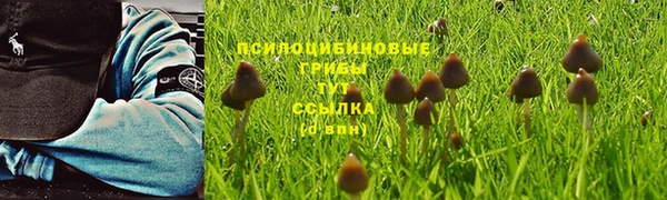 МДМА Богородицк