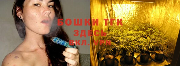 прущие крисы Вяземский