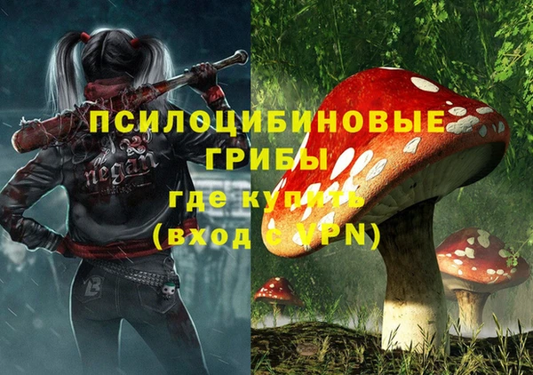 синтетический гашиш Богородск