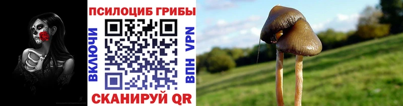 наркошоп  Вихоревка  Псилоцибиновые грибы Magic Shrooms 